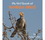 namibianbirdssmall