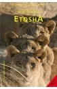 etosha_english_cover_2019-gr
