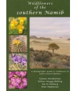 wildflowers-of-the-southern-namib