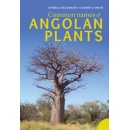 angolan_plants