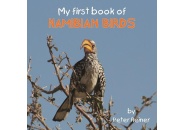 namibianbirdssmall