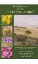 wildflowers-of-the-southern-namib