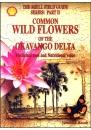 common_wild_flowers_okavango