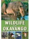 wildlife_okavango