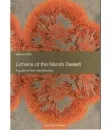 lichens_of_the_namib_desert_35