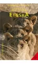 etosha_english_cover_2019-gr