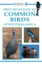 sasol-first-field-guide-to-common-birds-of-southern-africa_1