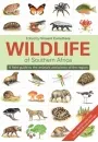 the_wildlife_of_southern_africa_-_vincent_carruthers