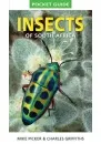 insects_of_sa